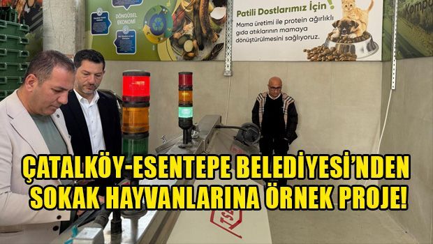 В Чаталкёй-Эсентепе начнут производить корм для бездомных животных из пищевых отходов