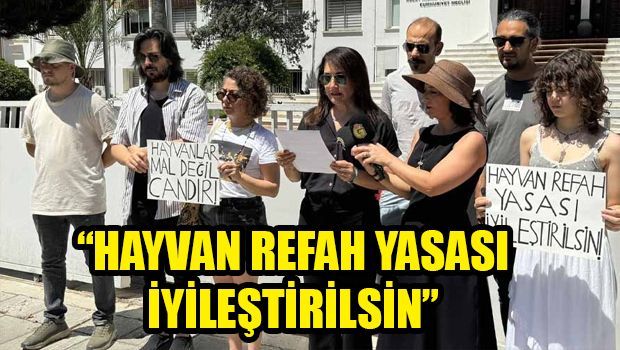 Защитники животных требуют улучшения законодательства перед парламентом