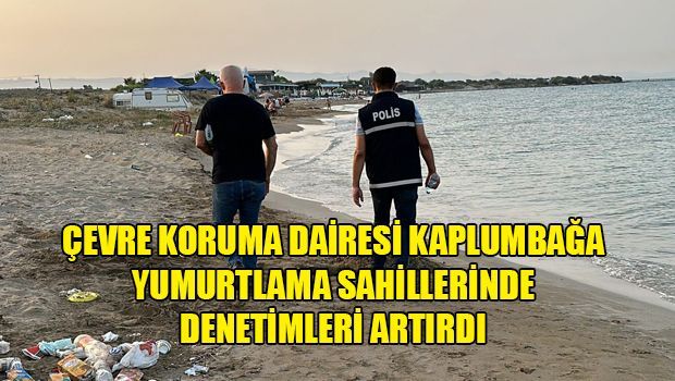 Увеличены проверки на охраняемых природных территориях и пляжах для гнездования черепах