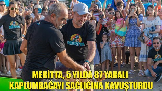 Meritta вылечила 87 раненых черепах за 5 лет