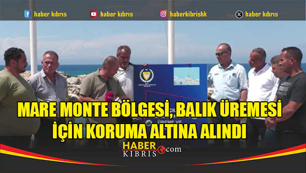 Mare Monte объявлен заповедной зоной: важный шаг к защите биоразнообразия