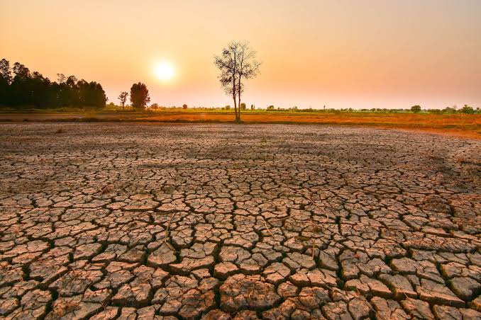 El Niño: метеорологи предупреждают об аномальной жаре и засухе на Кипре