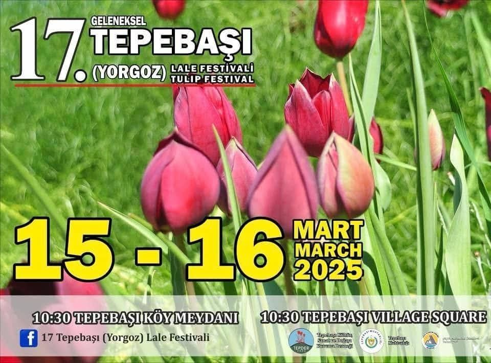 17-й фестиваль тюльпанов в Тепебаши