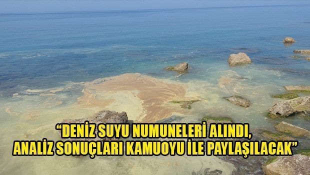 О желтых пятнах на пляжах Кипра