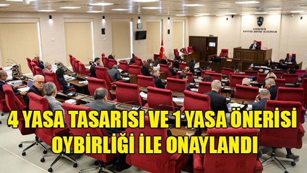 Парламент ТРСК утвердил ряд законопроектов