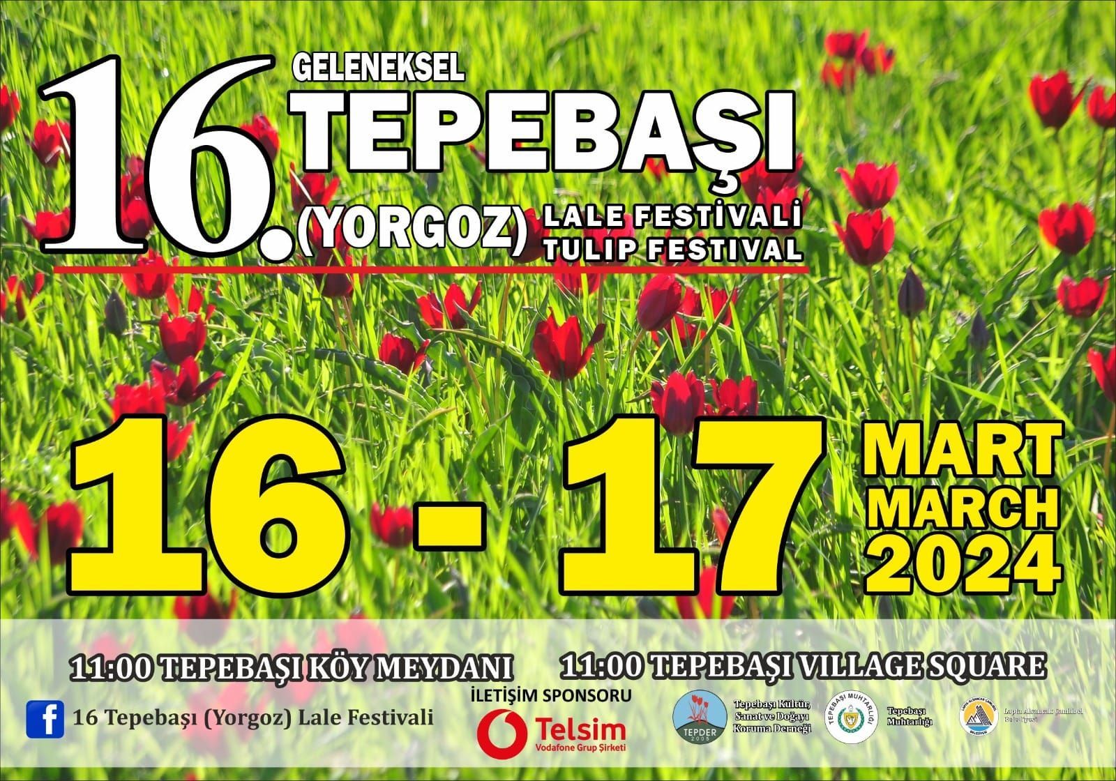 16-й фестиваль тюльпанов в Тепебаши
