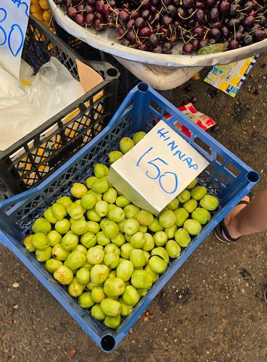 На Кипре наступила пора гиннапа