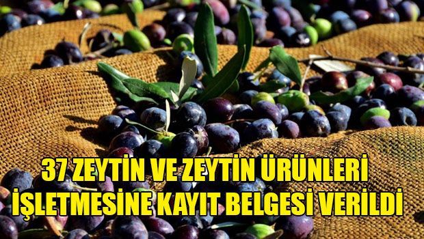 37 производителей оливок и оливковых продуктов получили официальные регистрационные сертификаты